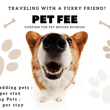 Picapau 59105al * Lisboa