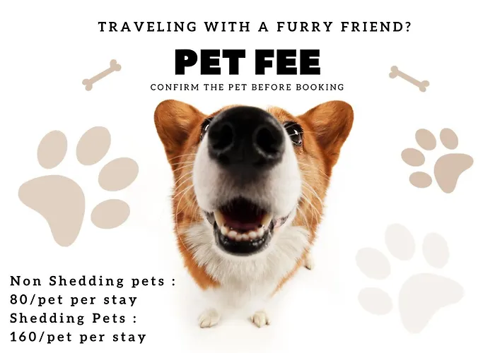 Picapau 59105al * Lisboa